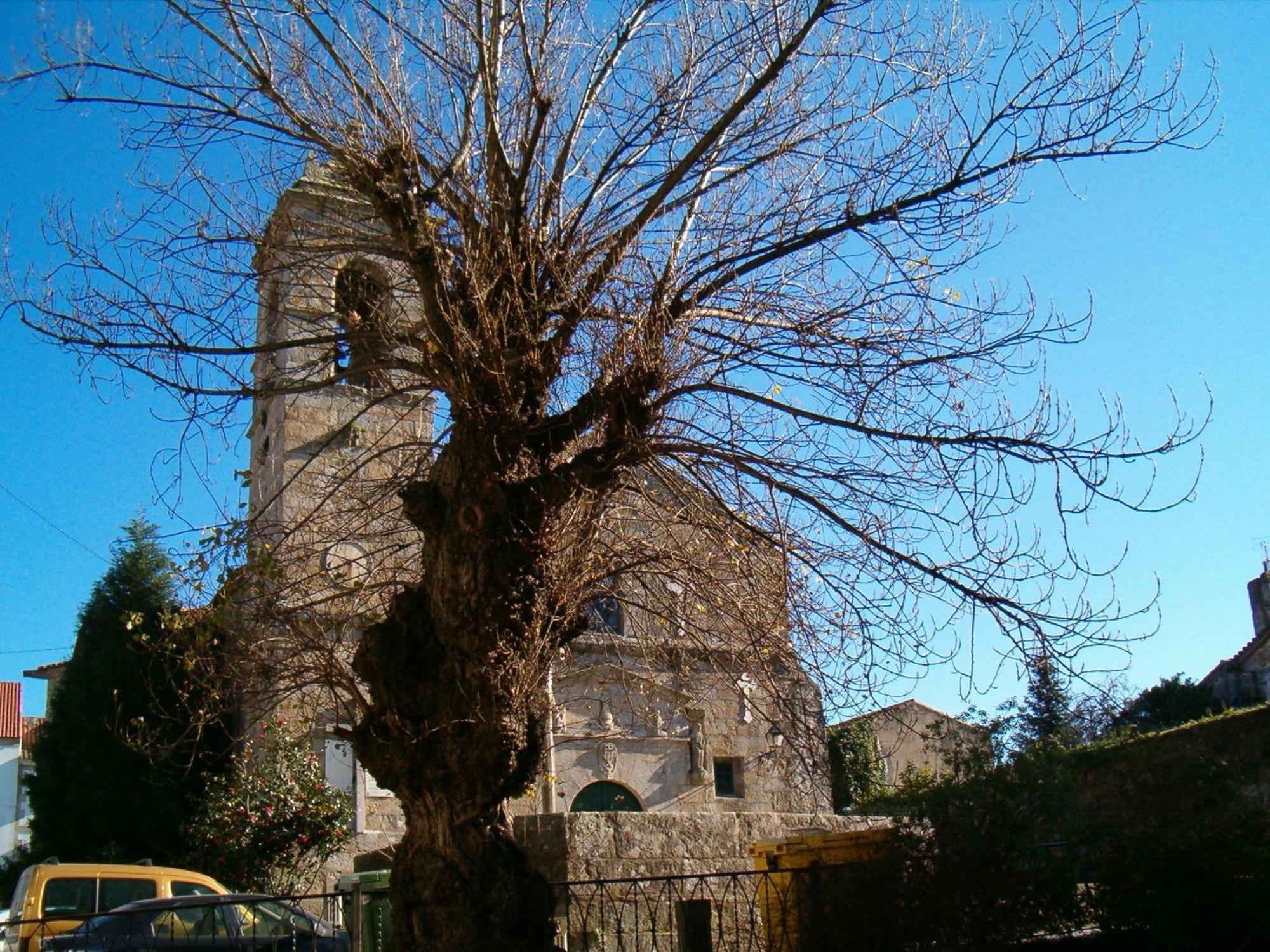 Hotel O Lagar Cambados Zewnętrze zdjęcie